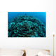 Corals Are Beginning to Wall Decal Design 5
