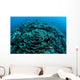 Corals Are Beginning to Wall Decal Design 5