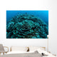 Corals Are Beginning to Wall Decal Design 5