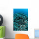 Corals Are Beginning to Wall Decal Design 4