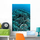 Corals Are Beginning to Wall Decal Design 4
