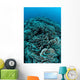 Corals Are Beginning to Wall Decal Design 4