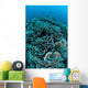 Corals Are Beginning to Wall Decal Design 4