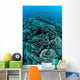 Corals Are Beginning to Wall Decal Design 4