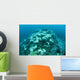 Corals Are Beginning to Wall Decal Design 3