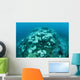 Corals Are Beginning to Wall Decal Design 3