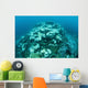 Corals Are Beginning to Wall Decal Design 3