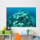 Corals Are Beginning to Wall Decal Design 3