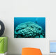 Corals Are Beginning to Wall Decal Design 2