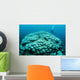 Corals Are Beginning to Wall Decal Design 2