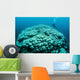 Corals Are Beginning to Wall Decal Design 2