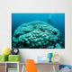 Corals Are Beginning to Wall Decal Design 2