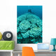 Corals Are Beginning to Wall Decal Design 1
