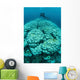 Corals Are Beginning to Wall Decal Design 1