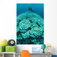 Corals Are Beginning to Wall Decal Design 1