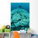 Corals Are Beginning to Wall Decal Design 1