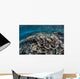 Fragile Corals Grow Shallow Wall Decal Design 2