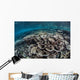Fragile Corals Grow Shallow Wall Decal Design 2