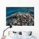 Fragile Corals Grow Shallow Wall Decal Design 2