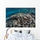 Fragile Corals Grow Shallow Wall Decal Design 2