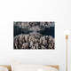 Soft Corals Grow Shallow Wall Decal