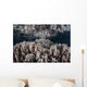 Soft Corals Grow Shallow Wall Decal