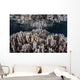 Soft Corals Grow Shallow Wall Decal