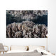Soft Corals Grow Shallow Wall Decal