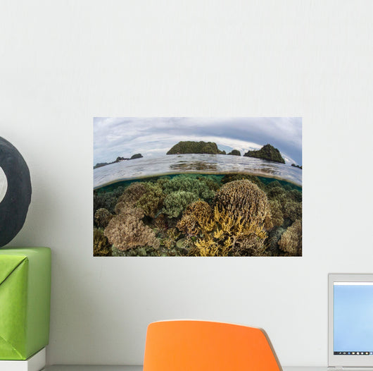 Fragile Corals Grow Shallow Wall Decal Design 1