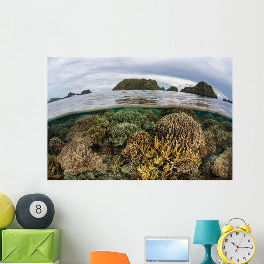 Fragile Corals Grow Shallow Wall Decal Design 1