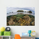 Fragile Corals Grow Shallow Wall Decal Design 1