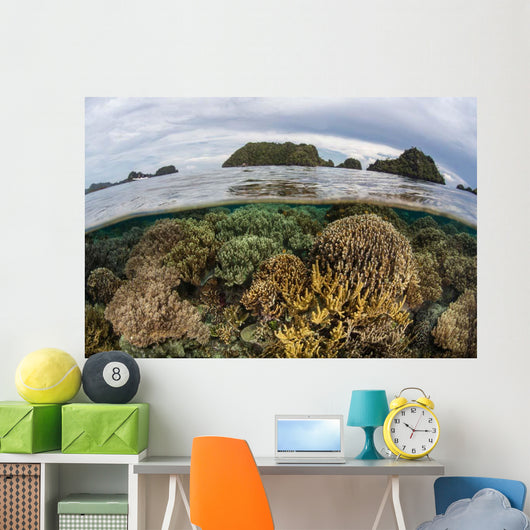 Fragile Corals Grow Shallow Wall Decal Design 1