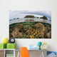 Fragile Corals Grow Shallow Wall Decal Design 1