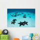 Starfish Cover Sandy Seafloor Wall Decal