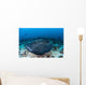 Large Black-blotched Stingray Swims Wall Decal Design 4