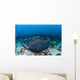 Large Black-blotched Stingray Swims Wall Decal Design 4