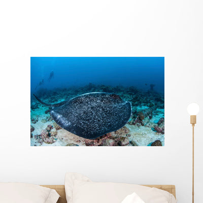 Large Black-blotched Stingray Swims Wall Decal Design 4 shown on a wall