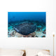 Large Black-blotched Stingray Swims Wall Decal Design 4