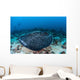 Large Black-blotched Stingray Swims Wall Decal Design 4