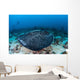 Large Black-blotched Stingray Swims Wall Decal Design 4