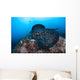 Large Black-blotched Stingray Swims Wall Decal Design 3