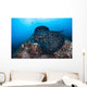 Large Black-blotched Stingray Swims Wall Decal Design 3