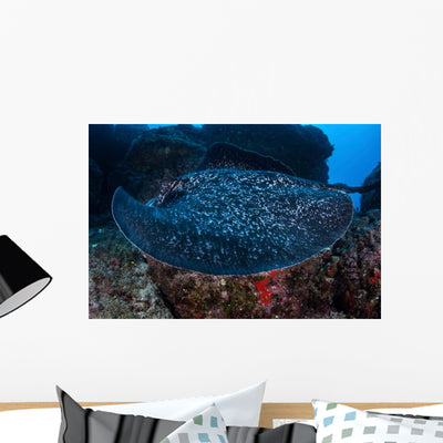 Large Black-blotched Stingray Swims Wall Decal Design 2 shown on a wall