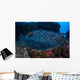 Large Black-blotched Stingray Swims Wall Decal Design 2