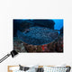 Large Black-blotched Stingray Swims Wall Decal Design 2