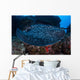 Large Black-blotched Stingray Swims Wall Decal Design 2