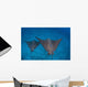 Spotted Eagle Rays Swim Wall Decal Design 4