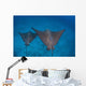Spotted Eagle Rays Swim Wall Decal Design 4