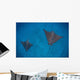 Spotted Eagle Rays Swim Wall Decal Design 3