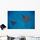 Spotted Eagle Rays Swim Wall Decal Design 3